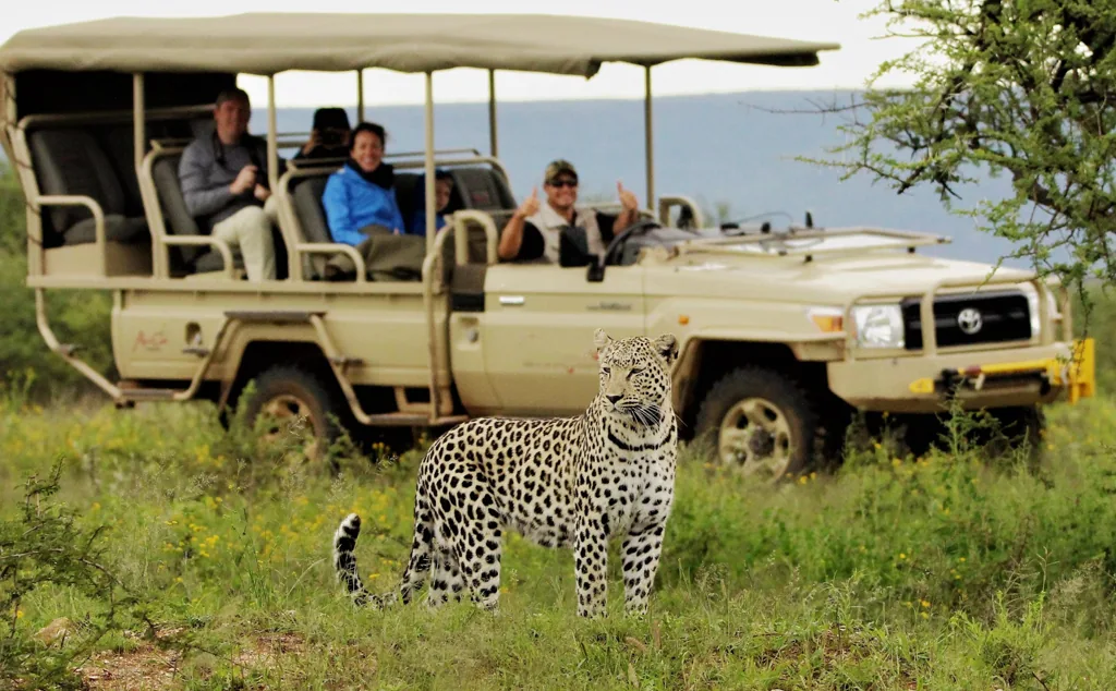 Classic Tanzania Wildlife Safari