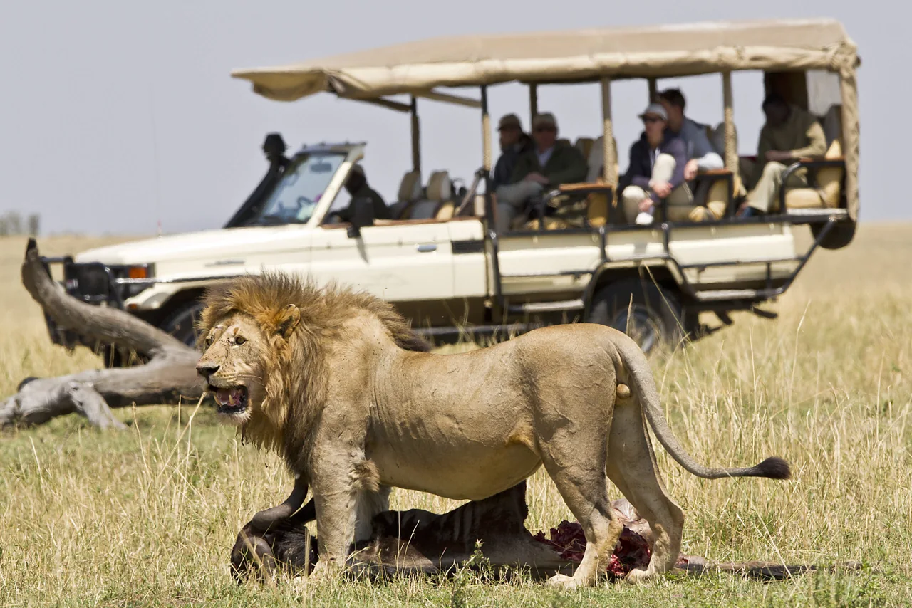 Group Joining Safari Tanzania
