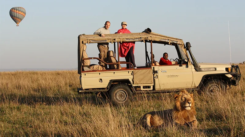 Kenya and Tanzania Safari