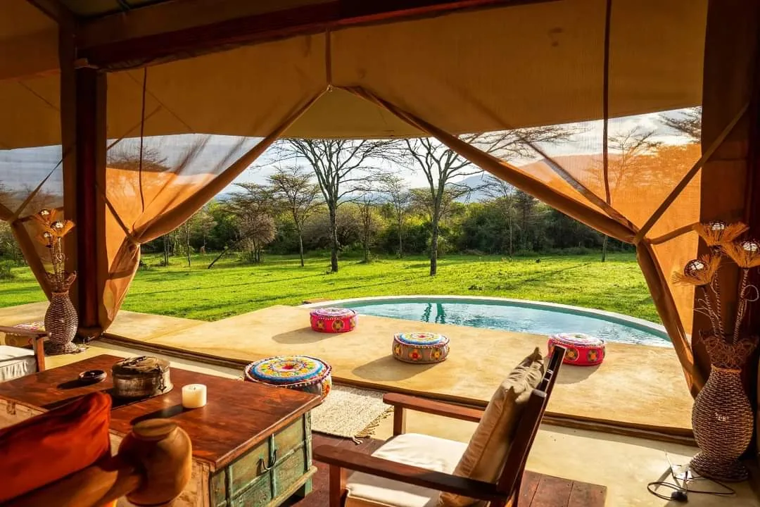 Luxury Tanzania Safaris