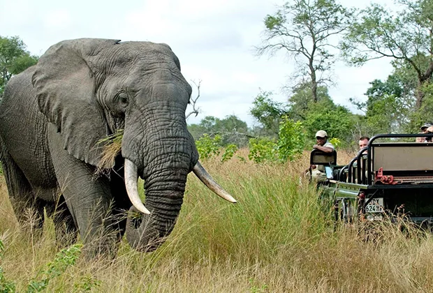 Southern Tanzania Safaris
