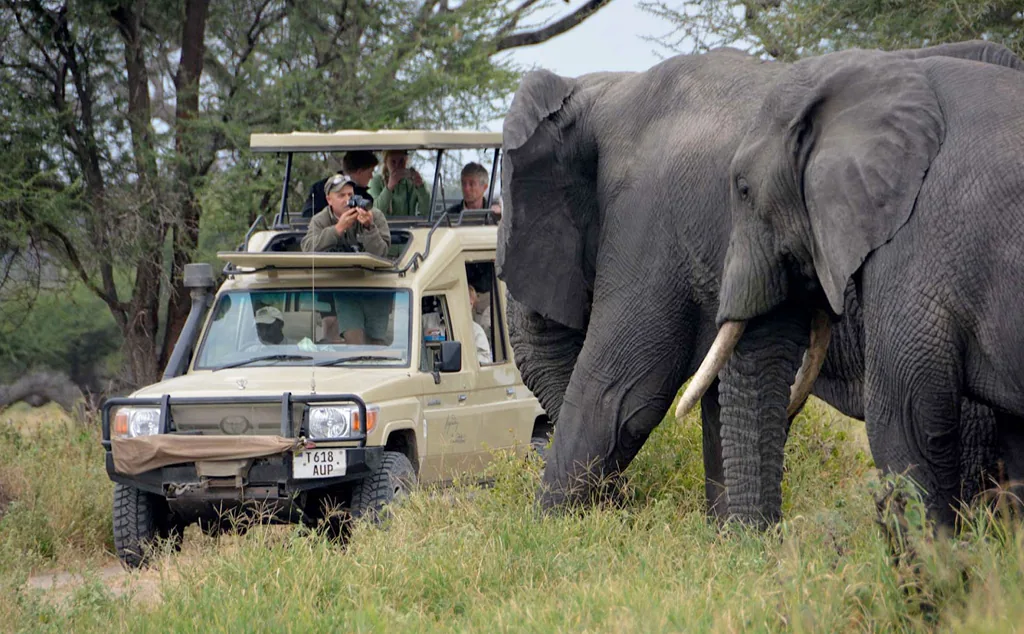 Tarangire National Park Tanzania