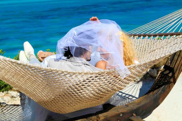Best 1 Day Tanzania Safari Tours from Zanzibar with Flights