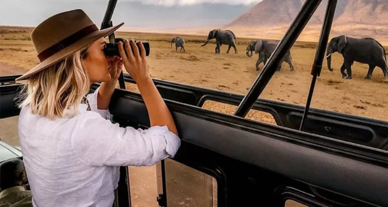 Tanzania Safari Packages with Private Guides and Vehicles