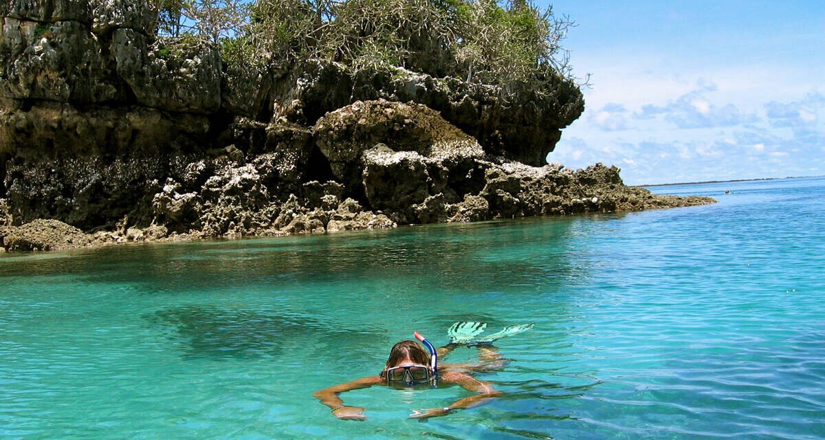 Zanzibar Diving And Snorkeling Holiday Packages: Your Ultimate Marine