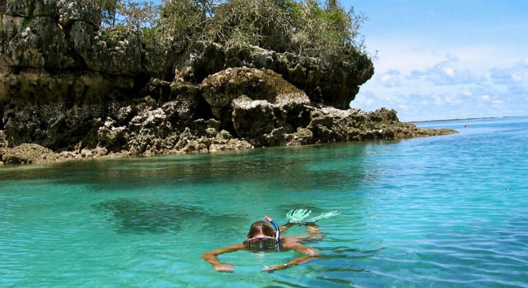 Zanzibar Safari Tours with All Transfers and Park Fees Included