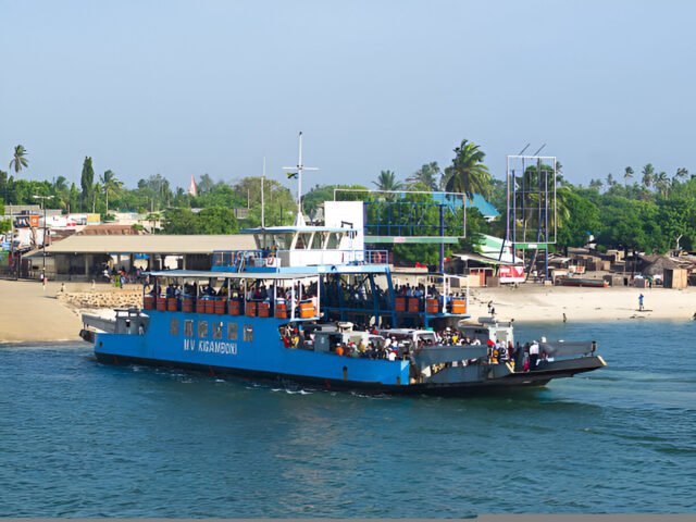 Two Day Mikumi Safari From Zanzibar With Flights And Accommodation 2026-2027
