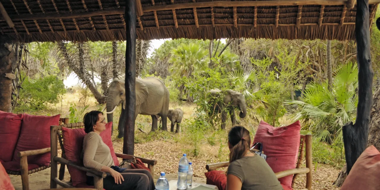 Zanzibar Maalum Cave Swimming Experience: Your Guide To An Underground Oasis