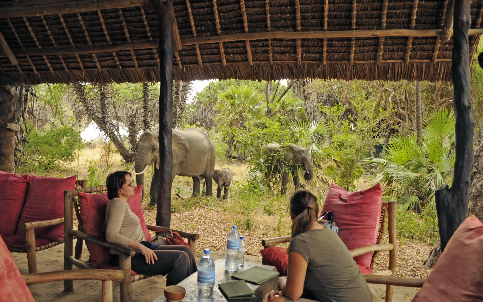How To Visit Zanzibar Island Tanzania: Your Expert Travel Guide 2026-2027