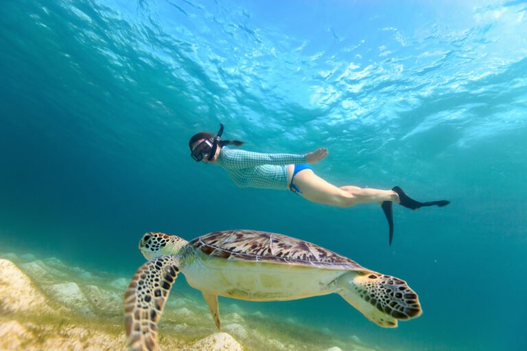Zanzibar Honeymoon Holiday Packages for Couples 2026-2027