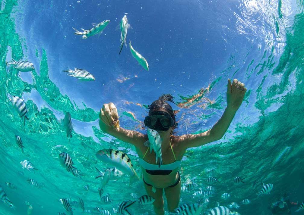 Best Tanzania Safari From Zanzibar With Flights And Transfers 2026-2027
