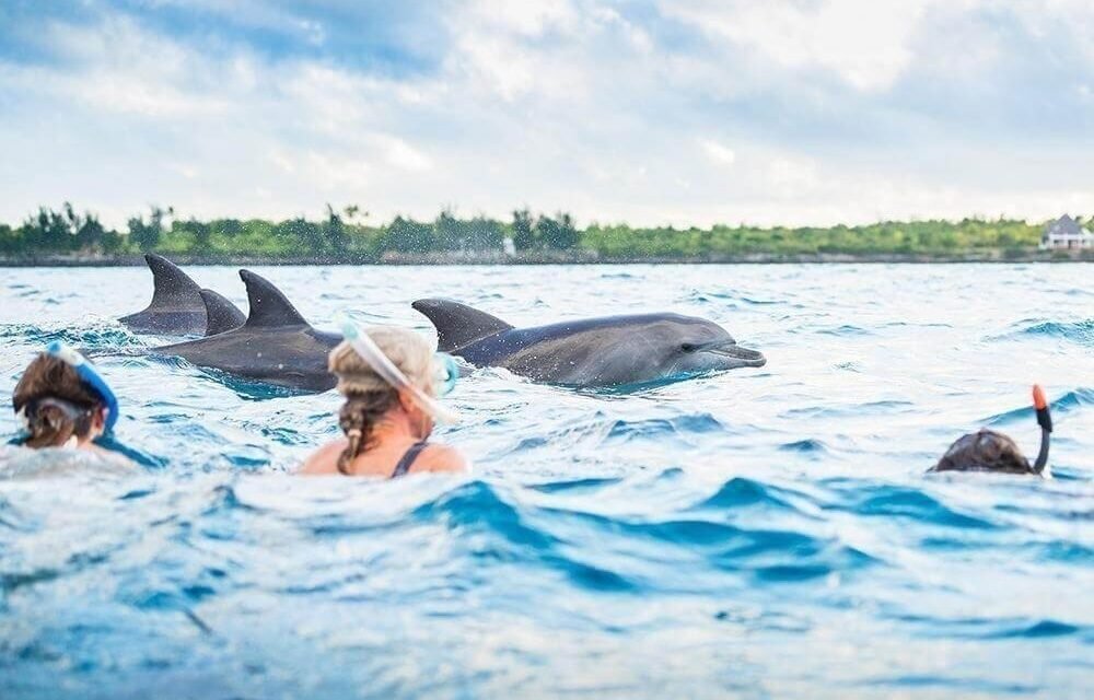 7 Day Mnemba Island Zanzibar Holiday And Snorkeling Tour 2026-2027