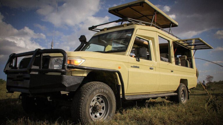 Best Gombe Stream National Park Tours and Chimpanzee Trekking Experiences