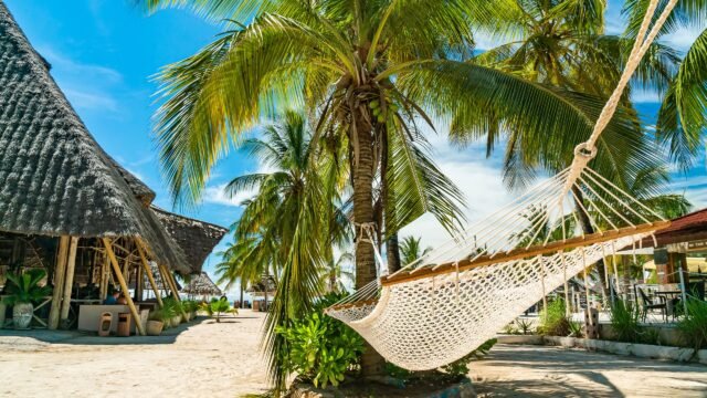 Is A Day Trip From Zanzibar To Mikumi National Park Worth It? 2026-2027