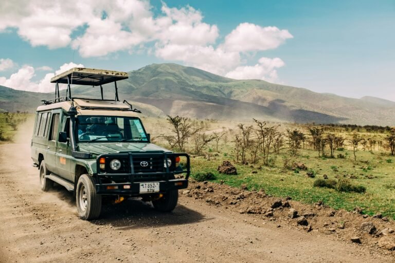 Tanzania Family Safari and Beach Holiday Zanzibar