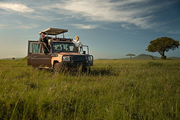 Tanzania Safari From Zanzibar: All-Inclusive Wildlife Packages For 2026-2027