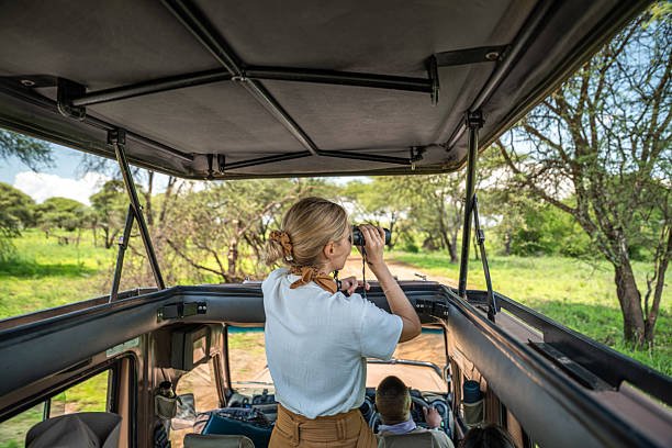 Tanzania Safari, Kilimanjaro & Zanzibar: Best Trip Options For ,000 Per