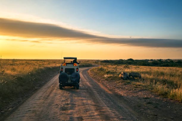 Tanzania Safari With Flights And Airport Transfers: Your Planning Guide