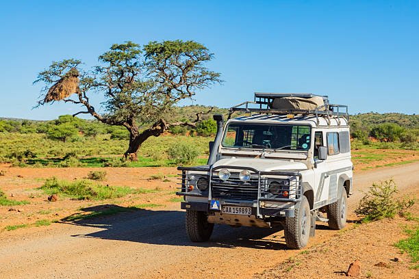 Tanzania Camping And Lodge Safari Combination: Expert Planning For 2026-2027
