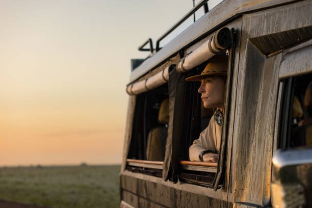 Tanzania Classic Wildlife Safaris – Serengeti, Ngorongoro, Tarangire and Manyara Tours