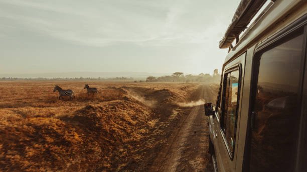 Tanzania All Inclusive Safari Cost And Prices : Your Ultimate Guide 2026-2027