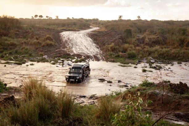 How To Plan A Tanzania Safari Itinerary And Budget 2026-2027