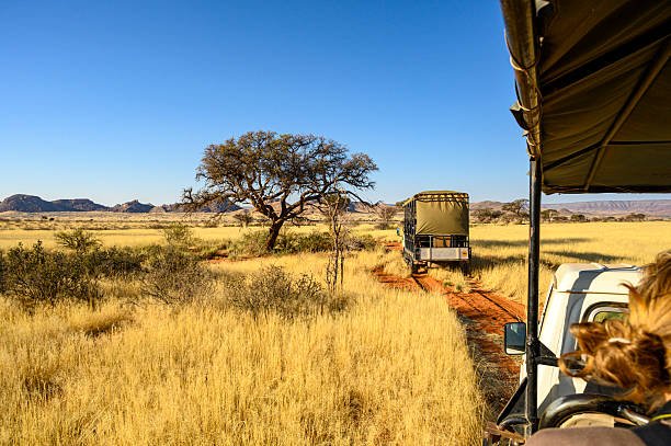 Lushoto Day Trip And Usambara Mountains Experience: Your Essential Guide