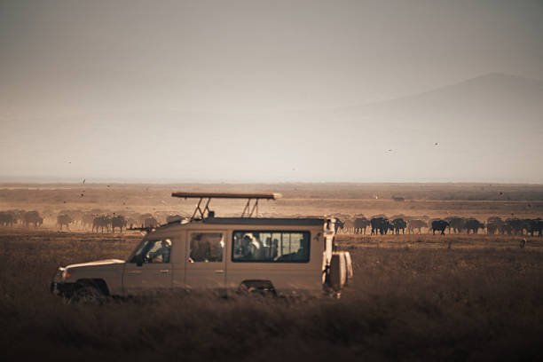 Tanzania Camping And Lodge Safari Combination: Expert Planning For 2026-2027