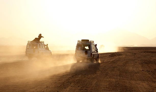 Tanzania Budget Safari: Cheap Group Joining Serengeti & Ngorongoro Tours /