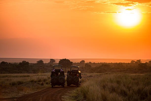 How to Visit Southern Serengeti for Calving Season – Ndutu Safari, Timing and Wildlife Viewing