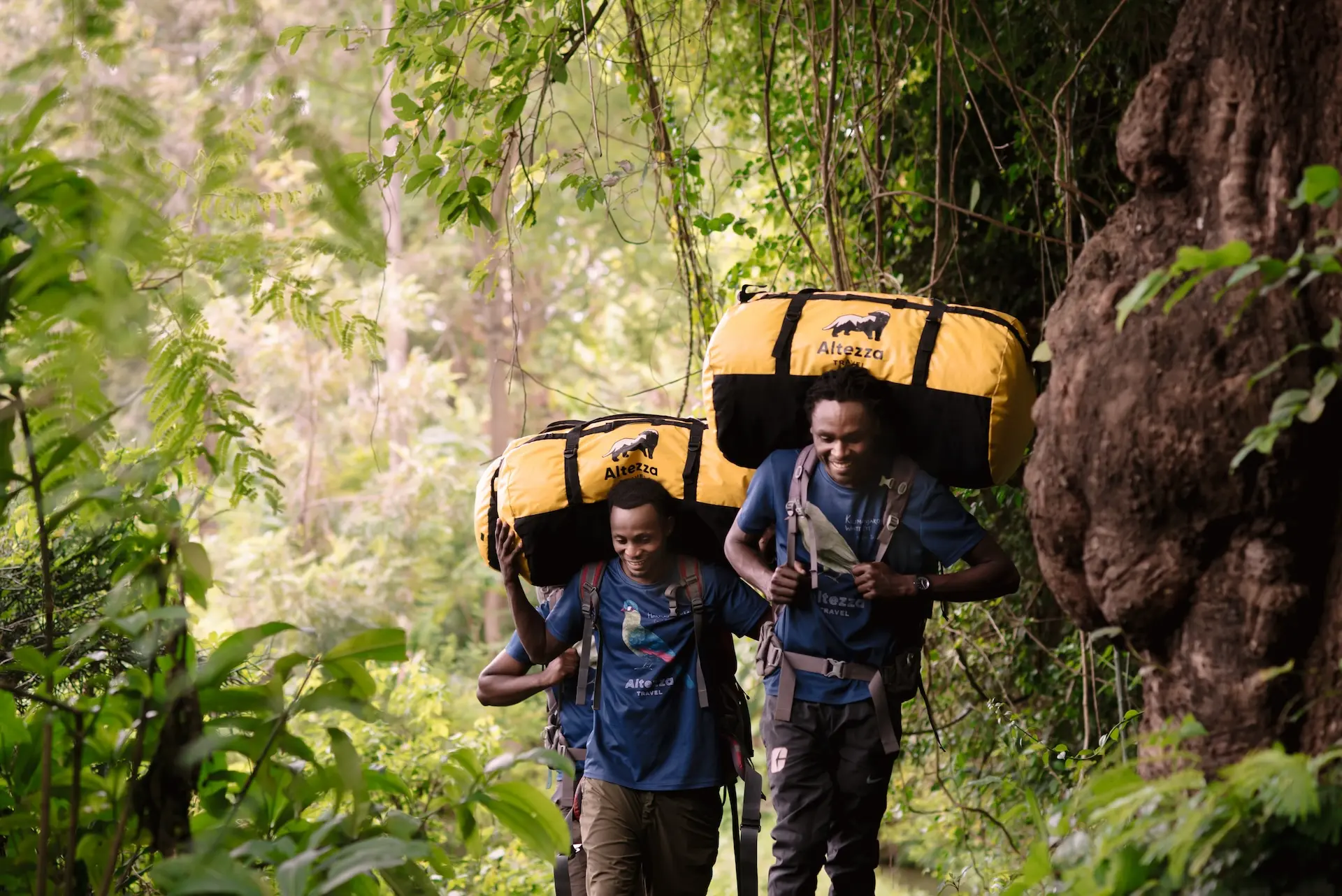 Kilimanjaro Local Operator Vs Overseas Travel Agent – Price, Safety And