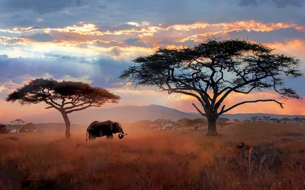 5 Day Ndutu And Serengeti Calving Season Safari Packages 2026-2027