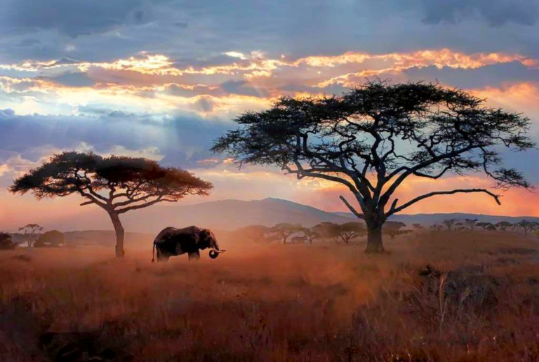5 Day Ndutu and Serengeti Calving Season Safari Packages