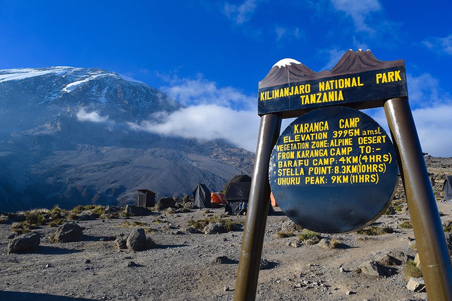 Top 10+ Affordable Kilimanjaro Treks November : Your Budget-Friendly Summit