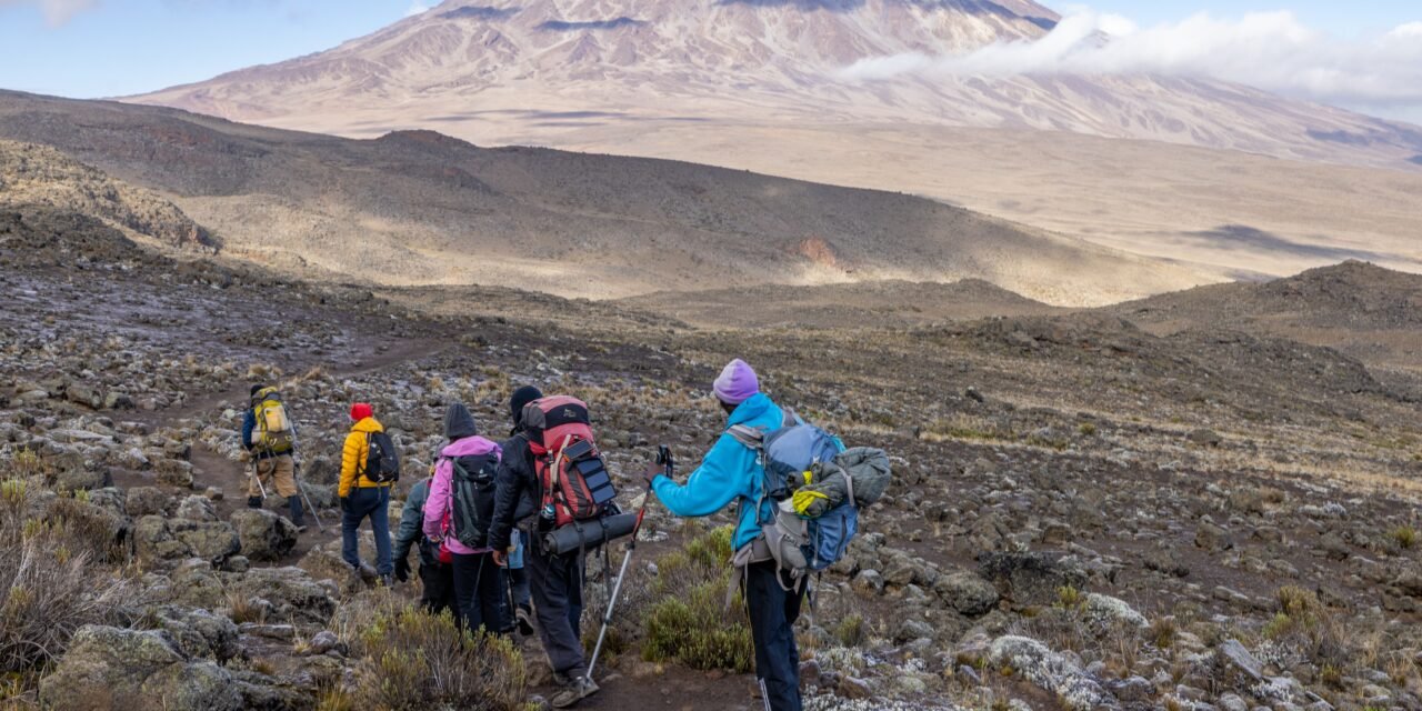 What Happens If My Flight To Kilimanjaro Is Delayed? – Airport Transfer And