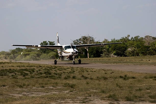 Best Kizimkazi Tours And South Zanzibar Experiences For 2026-2027