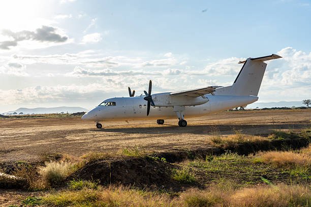 Zanzibar Spice Farm Tour And Local Cultural Experience: Your Essential Guide