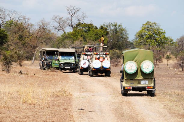 How Long Should A Tanzania Safari Be For First Time Visitors In ? 2026-2027