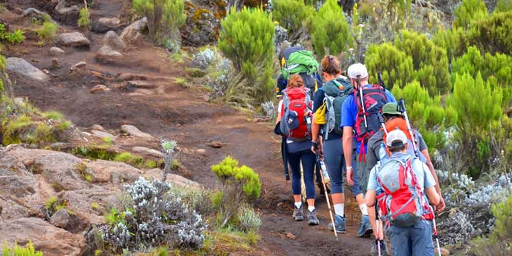 Where To Buy Missing Kilimanjaro Gear In Moshi – Outdoor Shops, Rentals &