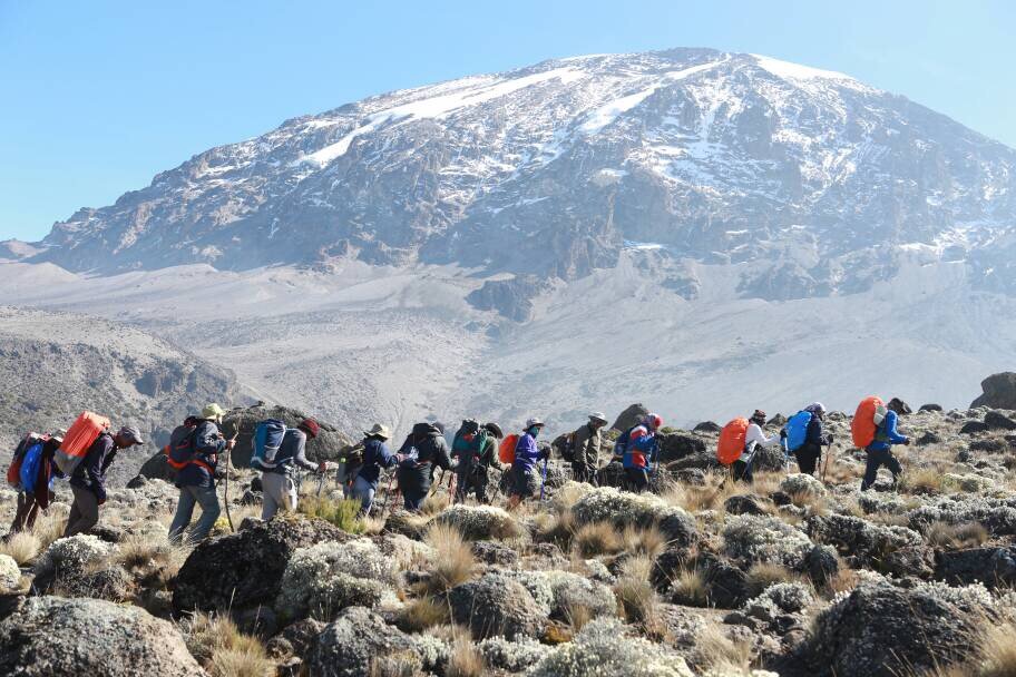 Kilimanjaro Standard Vs. Premium Package: Cost, Services, And Climbing
