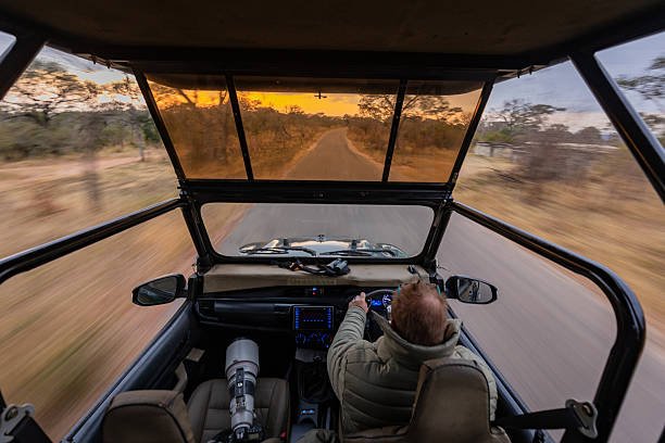 Mount Meru View Safari Tour In Arusha National Park Tanzania With Top Guide