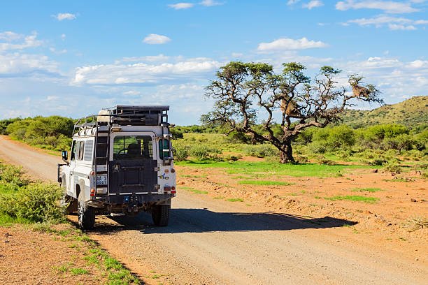 Arusha National Park Safari Tour With Momella Lakes And Mount Meru Views