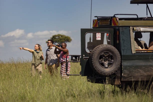 Tanzania Safari All Inclusive With Accommodation And Transfers: Your Planning