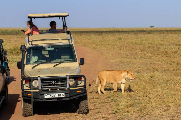 Maasai Mara Budget Safari From Nairobi – Affordable Kenya Tours 2026-2027