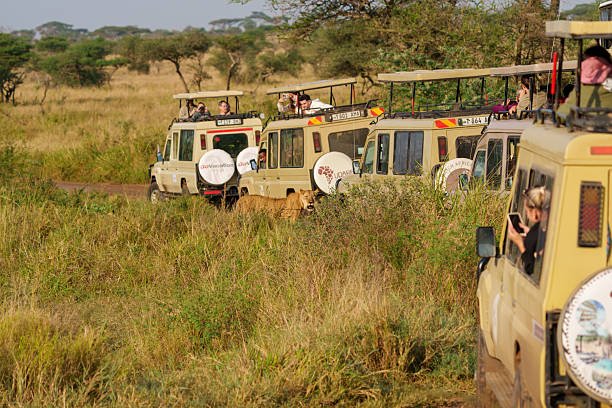 Best Bongoyo Island Tours And Beach Experiences From Dar Es Salaam 2026-2027