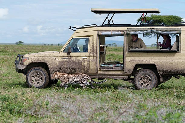 Lake Nakuru Private Safari – Wildlife, Rhinos & Flamingos | Top Guide