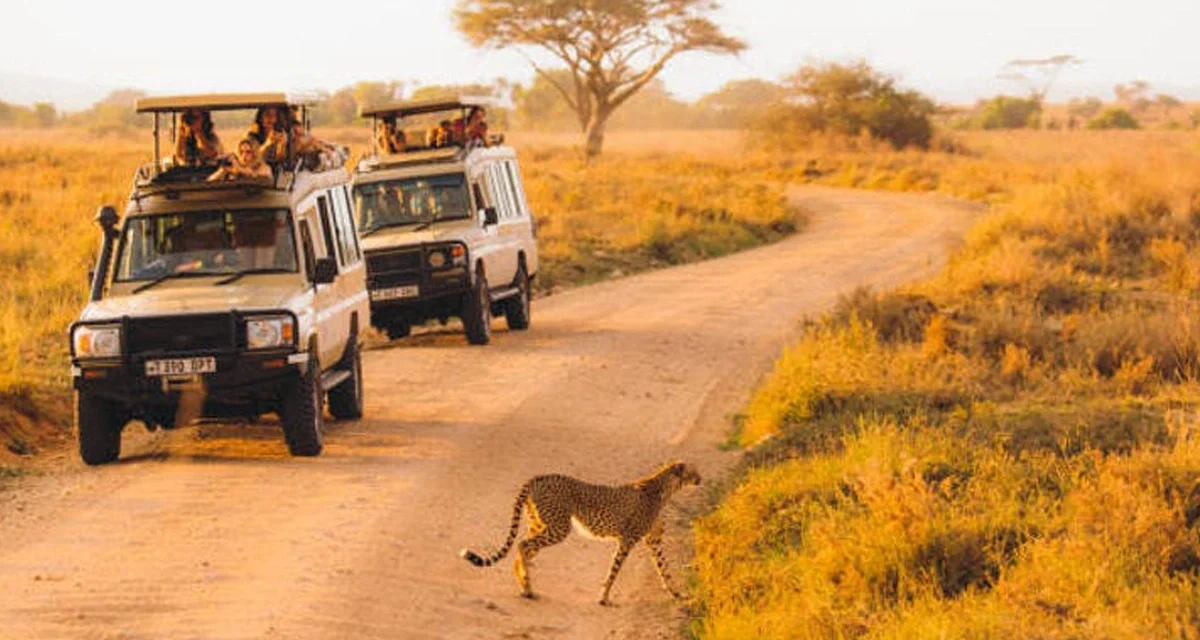 Best Southern Serengeti Safari Tours For February Wildlife Photography
