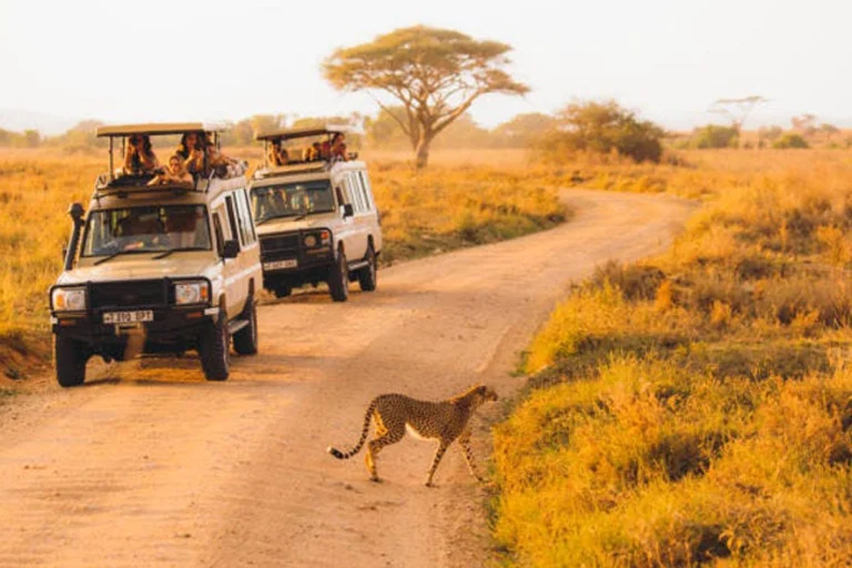Best Southern Serengeti Safari Tours for February Wildlife Photography