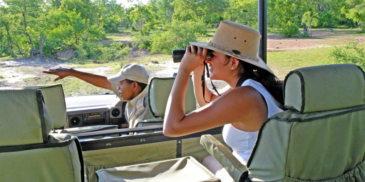 Central Serengeti Vs Northern Which Is Better For Safari? 2026-2027