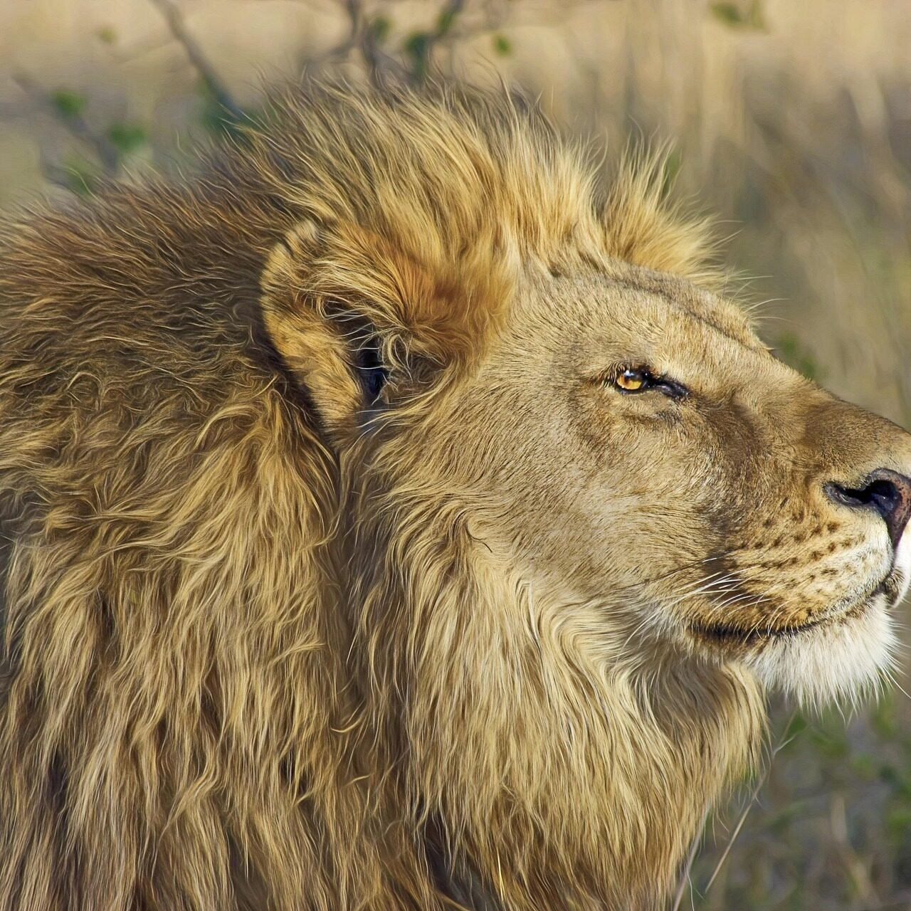 2 Day Tarangire and Ngorongoro Crater Safari from Arusha 2026-2027